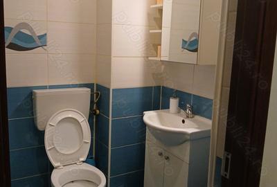 Garsonieră decomandată în Berceni - 10