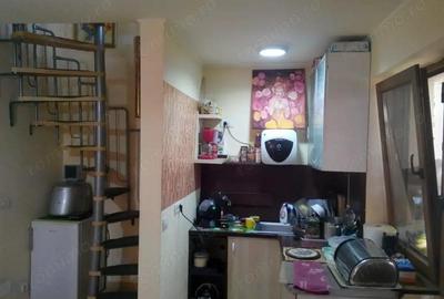 Casa pe malul lacului Paleu teren 510 mp - priveliste deosebita - 9