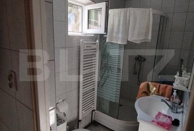 Casa traditionala cu 3 camere, teren mare si gradina in Bardesti - 13