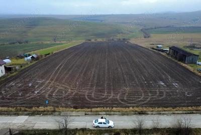 Teren 8.400 mp Negre?ti ideal gospodarie, ferma, natura ?i lini?te - 2