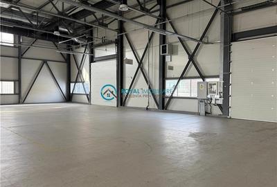 Spațiu industrial, de 1,183.2099609375 mp, în Exterior Vest - 6