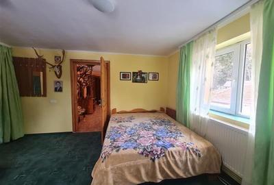 Incadrata de 4.200mp teren, Vila cu potential turistic, in inima Predealului - 7