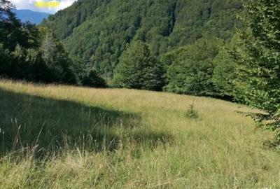 Teren de 7500 mp, în Malaia - 2