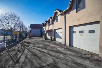 Vila de vanzare + afacere in Sannicolau Mare - 2