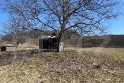 Teren de 20000 mp, în Central - 3