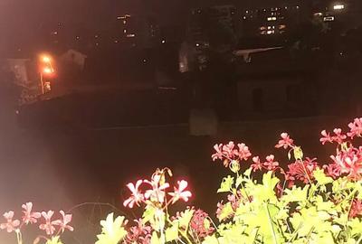 Apartament cu 3 camere semidecomandat în Plevnei - 10