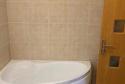 Apartament cu 2 camere semidecomandat în Nicolae Grigorescu - 3