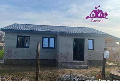 De vanzare casa in localitatea Colonie de Gepiu - 2