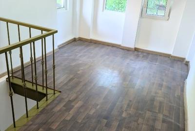 Proprietar, casa individuala, Cismigiu, de inchiriat - activități comerciale. Proprietar, casa individuala, Cismigiu, de inchiriat - activități comerciale. - 2