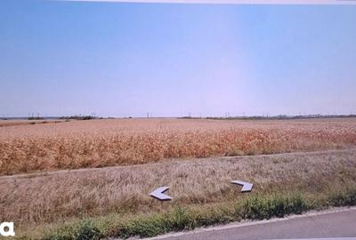 Teren de 7000 mp, în Merei - 2