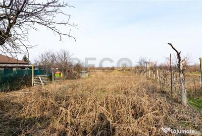 Casă cu 2 camere cu Teren 3036 Mp în Borș - 14