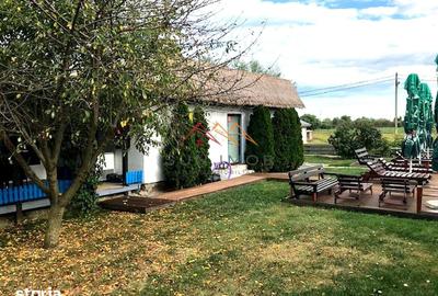 Casă cu Teren 1500 Mp în Crișan - 9