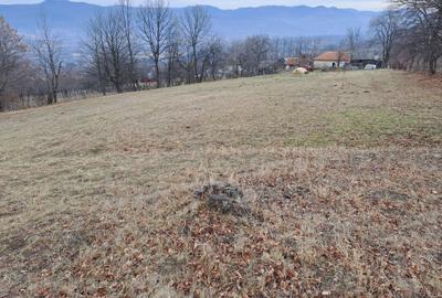 Spațiu comercial, în Coman - 2