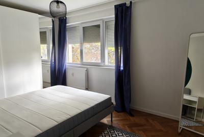 Dristor -str Odobesti - langa PARC IOR - 14