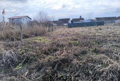 Teren Construcții intravilan de 700 mp, în Cristian - 1