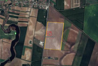 Teren intravilan Crevedia - Cocani - DN1 A, Dambovita - 2