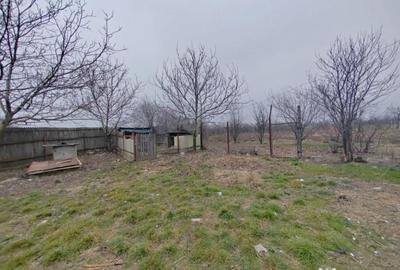 Casă cu 3 camere cu Teren 2259 Mp în Filipeștii de Târg - 4