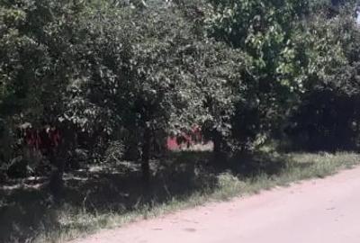 Casă cu 4 camere în Izvoarele - 1