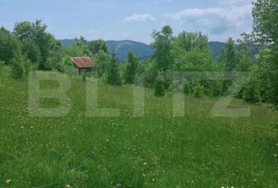 Teren în Scărișoara - 5