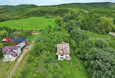 Teren Construcții intravilan de 5069 mp, în Budeasa - 4