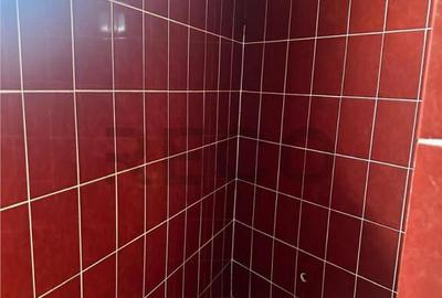 Reco Casa cu gradina Beius - 15