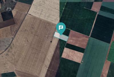 Teren arabil de 4,4Ha în Șimand - 2