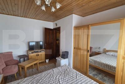 Casa de vacanca cu potential turistic, 1603 mp teren, Cernatesti - 5