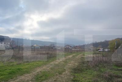 Teren intravilan de 2.000 mp, front 18 metri, Leamna de Jos - 3