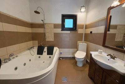 *Domeniu* cu poten?ial turistic - casa de vis, livada ?i vie - Bumbe?ti-Jiu - 4