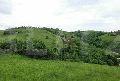 Teren de 12928 mp, în Central