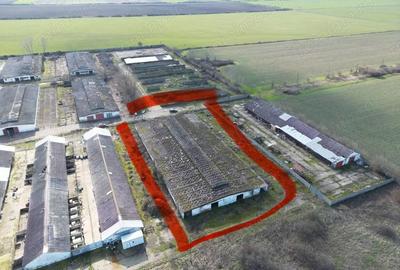 Teren de 10000 mp, în Central - 3