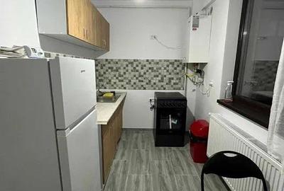 Garsonieră decomandată în Vișani - 2