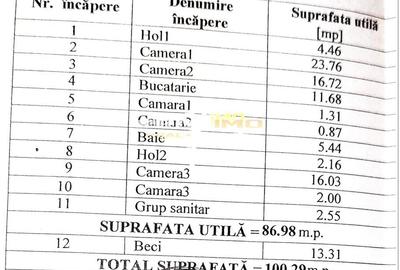Faleza Nord - Universitate - Casa renovabila 100mp. cu teren 274mp. - 10
