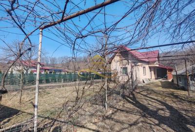 Casă individuală cu 2 camere cu Canalizare în Parava - 25