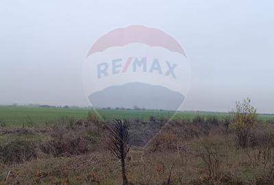 Teren  Balotesti - 4