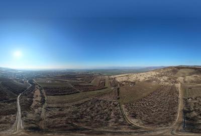 Vita-de-vie Premium  teren de 6800 mp în Covăsinț - 5