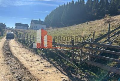 Teren Fundatica intravilan 4500 mp - 15