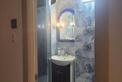 Apartament 2 camere de vanzare Pacii - 12