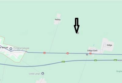 Teren de 5000 mp, în Dor Mărunt - 4