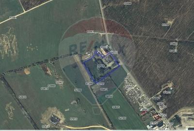 Spațiu industrial, de 2,254 mp, în Tinca - 15