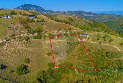 Teren de 6014 mp, în Holbav