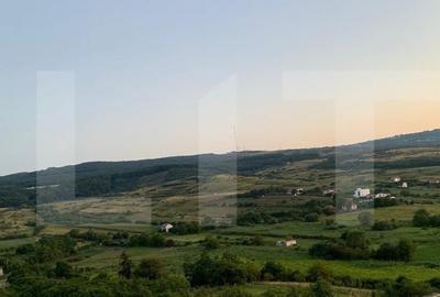 Teren de 17995 mp, în Sopor