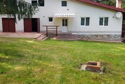 Csa de vinzare - 3