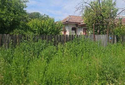 Teren cu casă – de vânzare în Meri Drăgănești, Prahova - 3