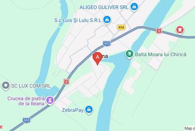 Teren agricol extravilan de 50000 mp, în Ileana - 1