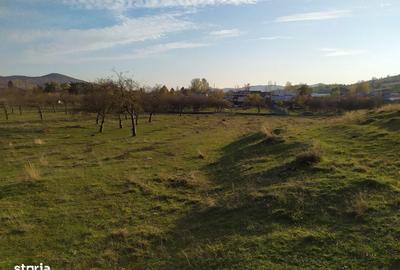 Spațiu comercial, în Voila - 7