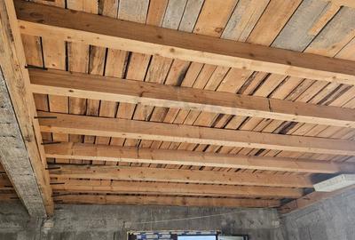 REV2005037 Vila individuala de vanzare in Ciorogarla - 17