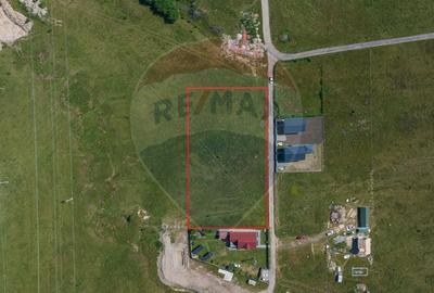 Teren Construcții intravilan de 4800 mp, în Bran - 3