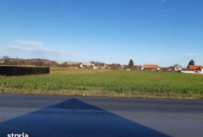 Teren de 2325 mp, în Prejmer - 6