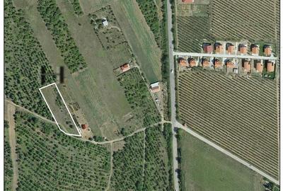 Teren de 2673 mp, în Oncea - 2